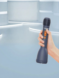 Handheld Wireless Bluetooth Speaker Mic Teacher Special Class Teaching Speech Karaoke Microphone DAS10S High Quality Sound System