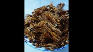 ดอกเงี้ยว หรือ ดอกงิ้ว ส่วนผสมทำ ขนมจีน น้ำเงี้ยว, แกงแค, คั่วแค จากเชียงใหม่