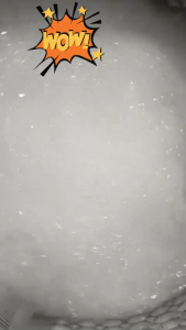 DOLL Luxury Perfume Laundry Detergent 72H Long-Lasting Fragrance Gentle Fabric Care