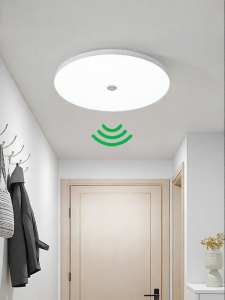 DGY | Body Induction Light & Sound Sensor 3-Proof Ceiling Light