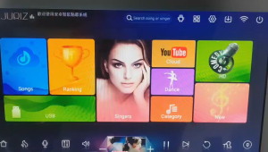 HAJURIZ Karaoke player18.5 Touch Screen5 in 1 Mixing amplifier1TB HDD 20K Local songs600K Multi-Language Cloud songsdownloadDual systemSmart AIScoreRecord.