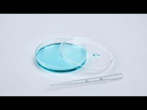 เชื้อแบบจาน 9-10cm รวมฝาปิด 2 ขนาด ชุดพร้อม กระบวนการแพทย์