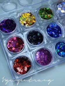 Sét phụ kiệm bướm 12 ô ẩn gel đắp móng nail  Phụ kiện trang trí bướm ẩn gel