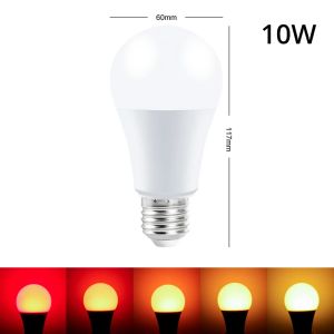 E27 Led Chip Lamp Wireless 24key IR Remote Control Smart Dimmable 10W RGB White Light Colorful Changing Home Decoration Bulbs