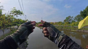 ปลายาง ตกปลาช่อน กะพง เก๋า สีสวยเนื้อนุ่ม แอ็คชั่น โดนใจสุดๆ