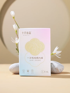 TEN-M JOURNEY Disposable Cotton Panties 5pcs Postpartum Maternity Underwear Travel Wash-Free