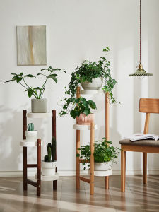 Succulent Wooden Corner Multi-tier Plant Stand