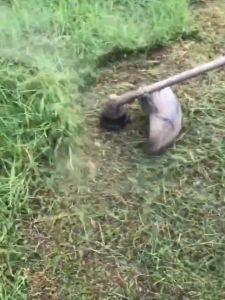 Đầu Lưỡi Cưa Thay Thế Bằng Kim Loại Cho Máy Cắt Cỏ