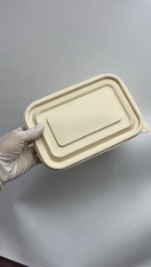 (50 Pcs) Corn Starch Container Bio Lunch Box (Set) / Takeaway Bento Box / Bio Lunch Box Container