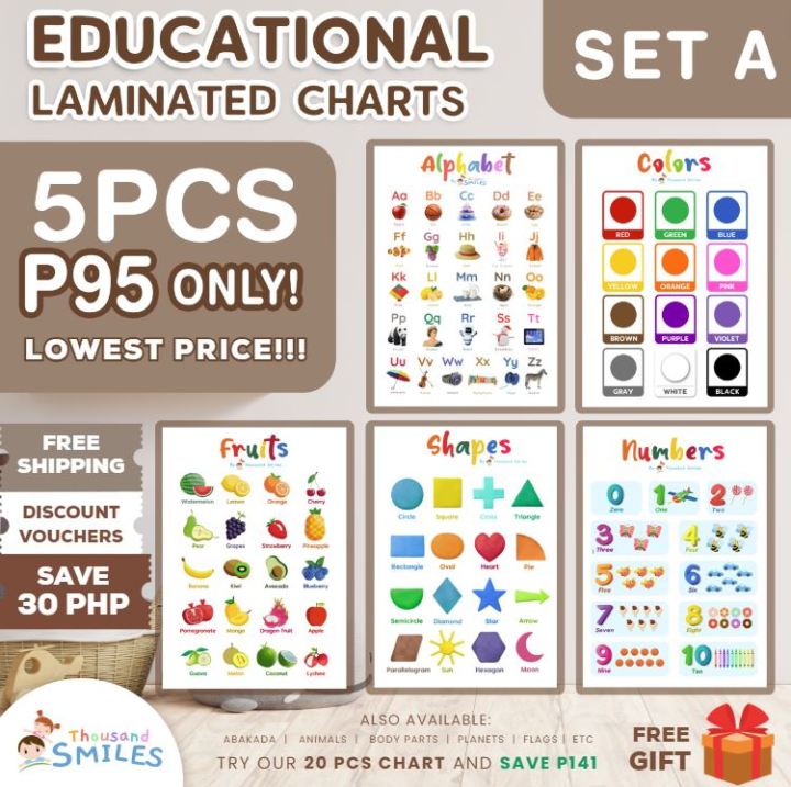 Education Toy| Shapes, Sizes & Colors