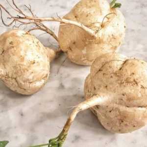 200 BENIH BIJI BENGKOANG MANIS SUPER