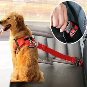 Dây cố định chó mèo trên xe hơi (mẫu mới) - Love Pets Shop