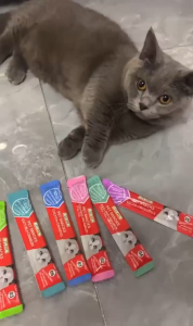 [🐾RedPanda]16g ขนมแมวเลีย ขนมแมว แถบแม อาหารเปียก อาหารแมว อาหารเสริมแคลเซียม สุขภาพ