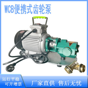 Portable 220V Electric Gear Oil Pump High Temperature Handheld Pump Cast Iron Material for Oil Extraction Hardware Tools