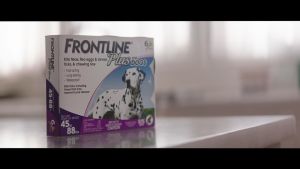 Frontline Plus Spot-On Flea & Tick Treatment for All Life Stages Dogs and Cats Long-Lasting 3-Pack