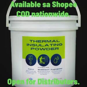 DEXPRO TIP (Thermal Insulating Powder) 1KG - good for 5 to 7 liters of any Paint.