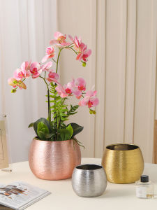 Flowerpot European Ins Accessible Luxury Classy Creative Brushed Gold Plated Green Dill Hydroponics Phalaenopsis Ceramic Flower Pot