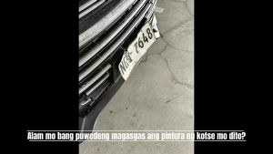 PLATEMATE 1PC soft license plate paint protection LTO Compatible 1PC Only