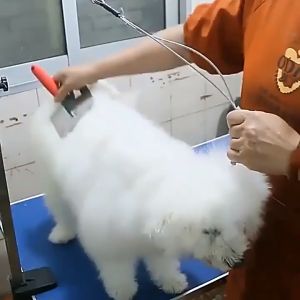 Pet Clippers Rechargeable Cat Dog Hair Shaver Grooming Trimmer Clipper Cordless Pet Shaver