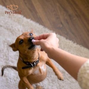 PetMarra Adult Dog / Puppy Dry Food 1kg | 10kg All Variants dogs puppies pet foods all breeds kibbles