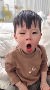 Miếng Dán Giảm Ho Tinh Dầu Tràm Fobaby Fobe Cho Trẻ Nhỏ - Hộp 6 Miếng