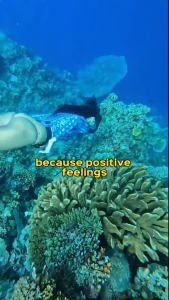 Shining Snorkeling Set Adult Snorkel Diving Mask Anti-Leak Snorkel for Scuba Diving Tempered Glass