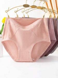 Baisina | Plus Size High Waist Shaping Cotton Underwear