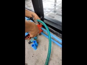 กรรไกรตัดท่อ PVC คีมตัดท่อ PVC ท่อพีวีซี เกรดดี