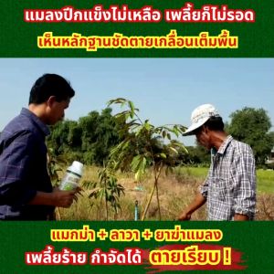 แมกม่า สารยึดเกาะใบ ป้องกันและกำจัดเพลี้ย สำหรับพืชผักทุกชนิด 1 ลิตร