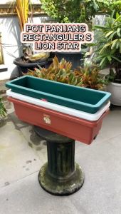 Pot Bunga Tanaman Persegi Panjang Rectanguler S Lion Star - FP 12 RECT FLOWER POT