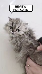 PETSMILE EASY GROOM สเปรย์อาบแห้งแก้ขนพันกัน สูตรธรรมชาติ 500ml