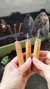 เครื่องมือทําสวน พลั่ว ขนาดเล็ก สามชิ้น ชุดทำสวนจิ๋ว พลั่ว เสียม ส้อมพรวนดิน ตักดิน (พร้อมส่ง) G2738