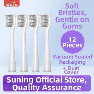 Soft Bristle Electric Toothbrush Head for Gum Care Initial Match June L3444 Adult Normal Specification Dental Care