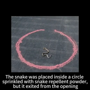 【Ready Stock】2.5KG Snake Repellent Powder Strong Smell & Rain Resistant Anti Snake Serbuk Halau Ular Outdoor Garden Yard Use Natural Herbal Formula lizard repellent 硫磺粉 驱蛇粉