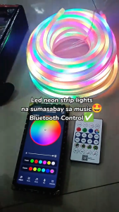 [Support Lalamove Bulk Order] LED Strip Light 5V RGBIC Neon Light Outdoor Waterproof High Quality Smart Bluetooth Light Strip Programmable Dimmable Music Sync Change Color Flexible Eye Protect Neon Strip Game Room Home Decoration