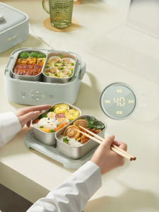 Bear | Heating Steaming Electric Lunch Box