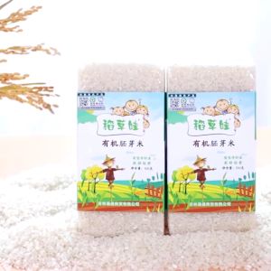 现货 - Premium Organic Baby Rice 500g 优质有机胚芽宝宝粥米 宝宝胚芽米 给宝宝最健康的米饭 宝宝辅食米 Baby Germ Rice