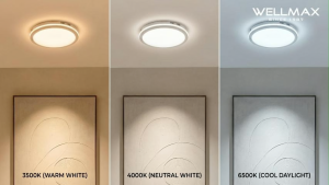 WELLMAX LED Ceiling Light Waterproof IP65 Eye Comfort Tricolor Light For Bedroom Kitchen Toilet Balcony 25W Modern 360 ° Halo Design Bright Eye Protection Circular Lamp