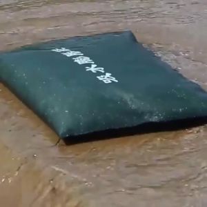 【COD】High Quality Flood Control Special Self-Absorbent Expansion Bag Upgraded Fire Protection Property Thickened Canvas Silicone Sandbag Water Blocking Sandbag Durable Garage Building Door Blocking Sandbag