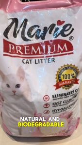 Marie Cat Litter Sand | REPACKED 2 Kilos by FurrWhitePetsShop
