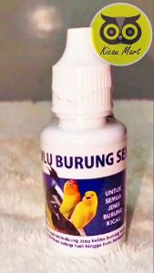 Kicau Mart Penumbuh Bulu Burung Sempati Obat Bulu Rontok Kusam Botak Sulit Tumbuh Mempecepat Mabung Ngurak Untuk Murai Kacer Lovebird Kenari Pleci Anis Cucak Dll OBNUMBUH