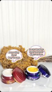 GRATIS Masker Wajah Berrijoy Cream Siang & Malam Anti Spot - 15 gr