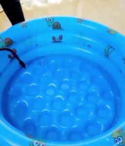 ล้างสต๊อกทั้งลดทั้งแถม สระน้ำเป่าลม สระน้ำเด็ก สระน้ำยาง ซื้อ1ฟรี4 สระน้ำกันลื่น สระน้ำสีรุ้ง อ่างน้ำเด็ก ของเล่นเด็ก