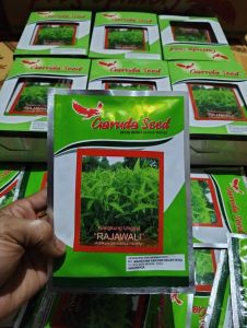 biji Benih Bibit kangkung Rajawali isi 50grm 100% Original super unggul