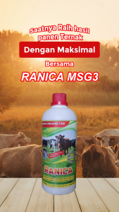 Ranica MSG 3 Vitamin Untuk ternak dan ikan - 1000ml organik