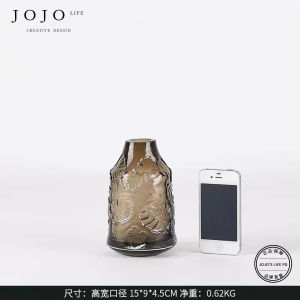 Modern Simplicity JOJOS L. PD Front Flower Vase Transparent Home Decorations Living Room Tabletop Fresh Flowers Ornament