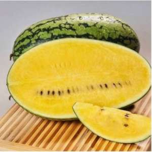 10 BIJI BENIH SEMANGKA KUNING LEGYTA (REPACK)