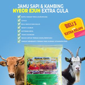JAMU SAPI CEPAT GEMUK PENAMBAH NAFSU MAKAN KAMBING NYEOR EJUH EXTRA GULA