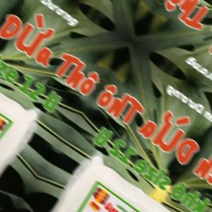 THẠCH DỪA THÔ ÉP KHÔ SIZE 12LI TẶNG KÈM HƯƠNG_LOẠI TÚI 1KG