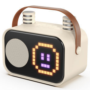 Mini Karaoke Machine for Kids Portable Bluetooth Karaoke Speaker Unpowered Cabinets with 2 Wireless Microphones for Party